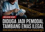 Dugaan Mafia Tambang Emas Sekadau Menguat, Nama Oknum Legislator Disebut dalam Kesaksian Warga